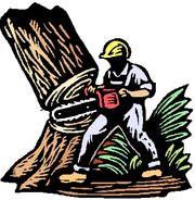 Image for Parkland Southern Tree Services with ID of: 1224582