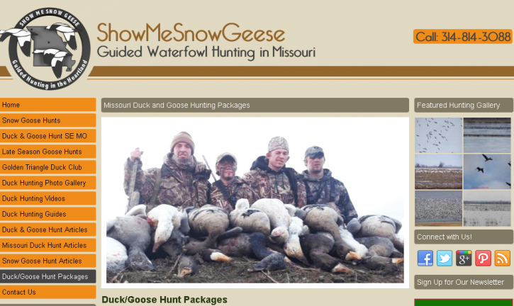 Image for show me snow geese with ID of: 1226316