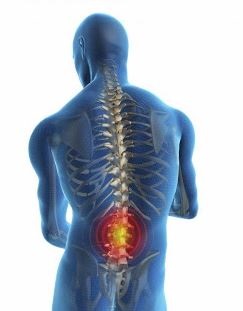 Image for Anaheim Chiropractor with ID of: 1227330