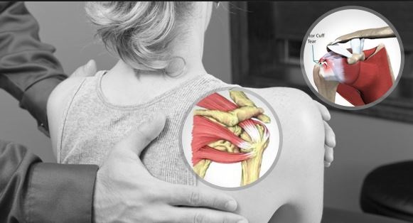 Image for Anaheim Chiropractor with ID of: 1227337