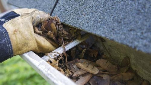 Image for Great Atlantic Gutter Cleaning & Power Washing with ID of: 1229413