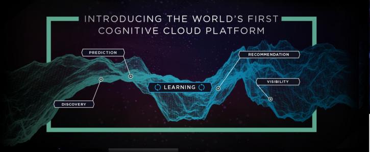 Image for CognitiveScale with ID of: 1229586