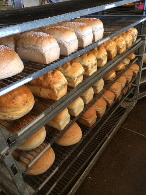 Image for Great Harvest Bread of South Ogden with ID of: 1230557