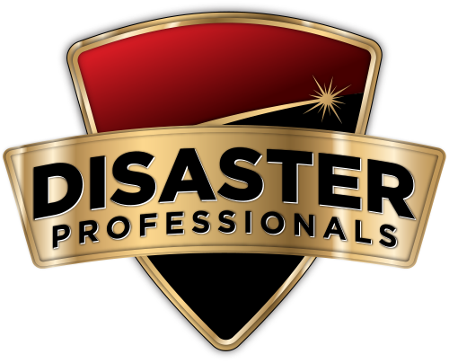 Image for Disaster Professionals with ID of: 1230786