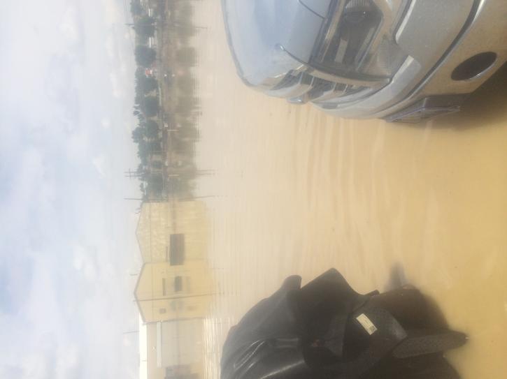 Image for Disaster Professionals with ID of: 1230792