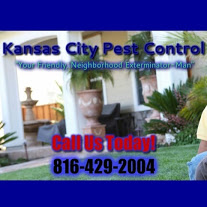 Image for Kansas City Pest Control with ID of: 1231943