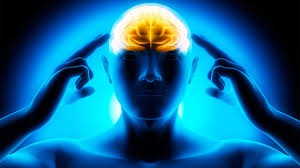 Image for 8 Tips to Optimize Brain Health with ID of: 1232594
