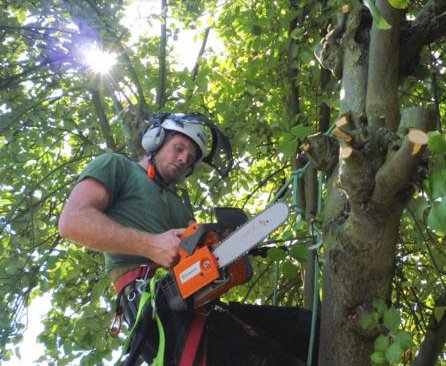 Image for Albany Tree & Property Service with ID of: 1232641
