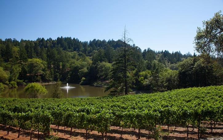 Image for Sherwin Family Vineyards with ID of: 1232984