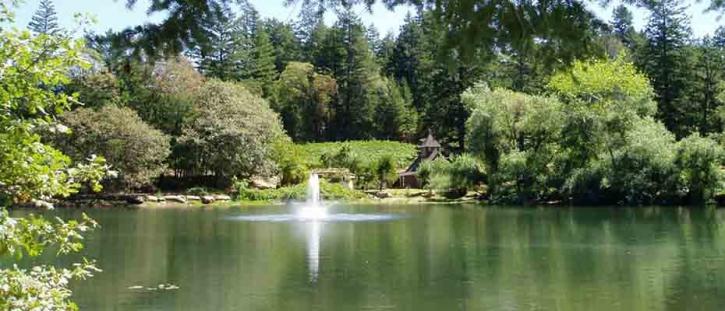 Image for Sherwin Family Vineyards with ID of: 1232992