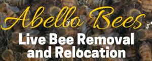 Image for Abello Bees with ID of: 1234021