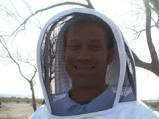 Image for Abello Bees with ID of: 1234028