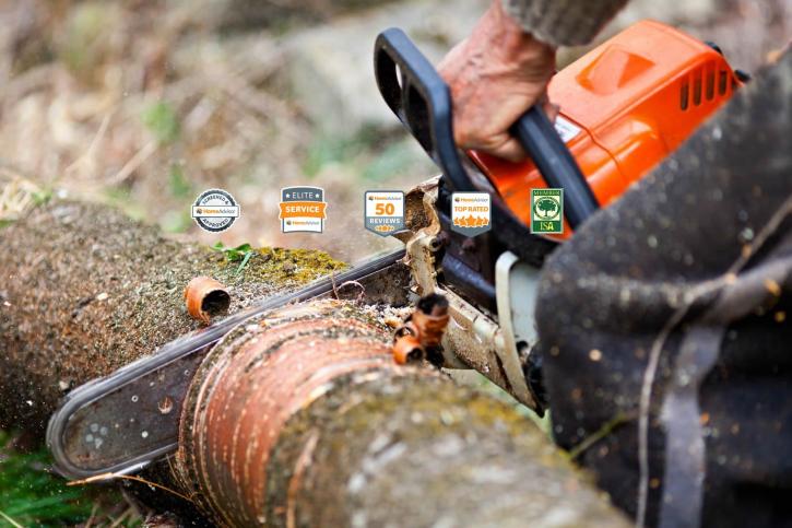 Image for JL Tree Services with ID of: 1234936