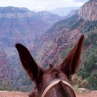 Image for Canyon Trail Rides with ID of: 1235213