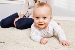 Image for Premier Carpet Cleaning Toledo with ID of: 1235318