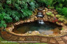 Image for Backyard waterfall services with ID of: 1235746