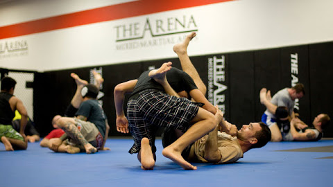Image for The Arena with ID of: 1235799