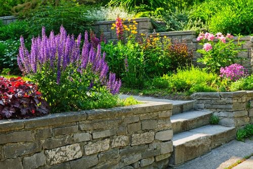 Image for John A Pinto Landscaping with ID of: 1236004
