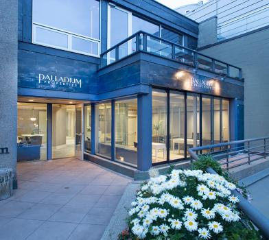 Image for Palladium Properties with ID of: 1236033