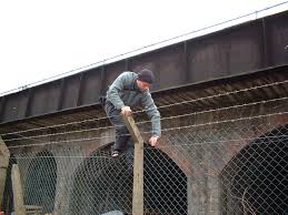 Image for Barbwire fence services with ID of: 1236101