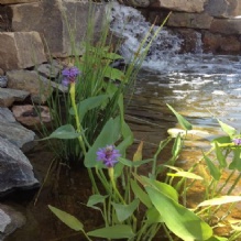 Image for DreamScaping Inc. with ID of: 1236253