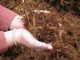 Image for Bark mulch services with ID of: 1236296