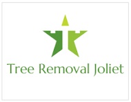 Image for Tree Removal Joliet with ID of: 1236422