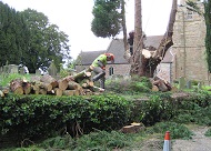 Image for Tree Removal Joliet with ID of: 1236432