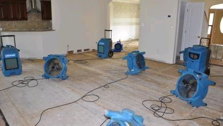 Image for Carpet Cleaning Salinas with ID of: 1236546