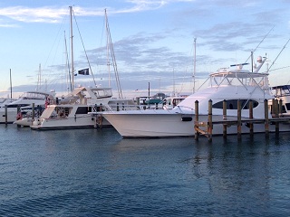 Image for Key West Charter Boats with ID of: 1237263