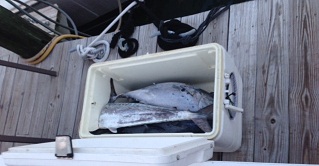 Image for Key West Charter Boats with ID of: 1237267