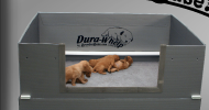Image for Dura Whelp with ID of: 1237430