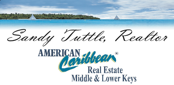 Image for Sandy Tuttle, Realtor with ID of: 1238168