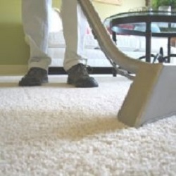 Image for Mesa Carpet Cleaners with ID of: 1239378