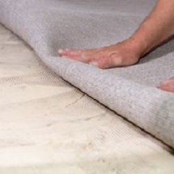 Image for Mesa Carpet Cleaners with ID of: 1239380