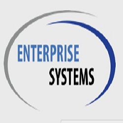Image for Enterprise Systems with ID of: 1239584