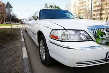 Image for Party Bus Rental Denver with ID of: 1239758