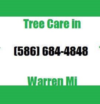 Image for Tree Care in Warren Mi with ID of: 1239844