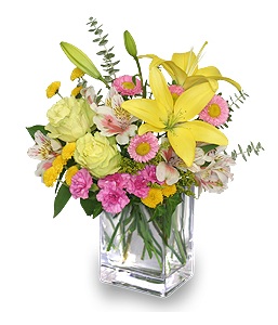 Image for ANA'S ROSE N THORN with ID of: 1240552
