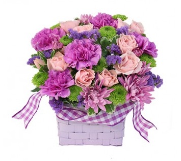 Image for ANA'S ROSE N THORN with ID of: 1240553