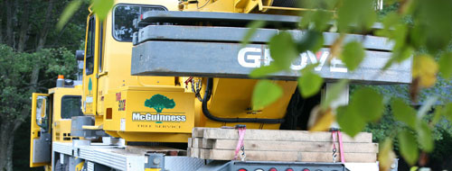 Image for McGuinness Tree Service with ID of: 1240595