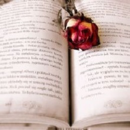 Image for Paperback Trader with ID of: 1241257