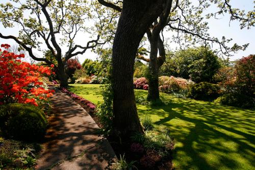 Image for Hortus Landscaping with ID of: 1241636