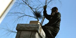 Image for Chimney Sweeping with ID of: 1242022