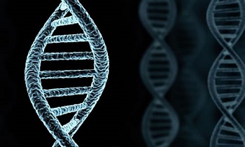 Image for Test Me DNA with ID of: 1242024