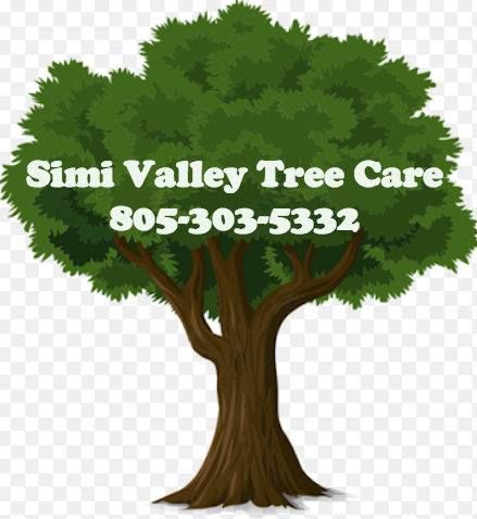 Image for Simi Valley Tree Care with ID of: 1243361