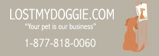 Image for LostMyDoggie.com - Let us help you find your lost pet with ID of: 124448
