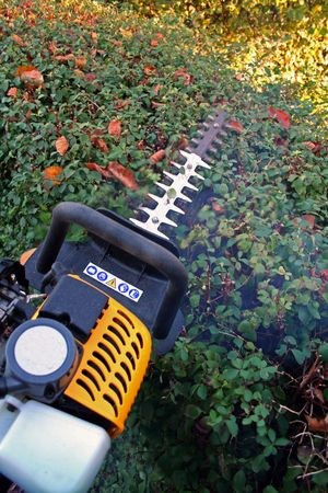 Image for Cutting Edge Tree Professionals with ID of: 1245228