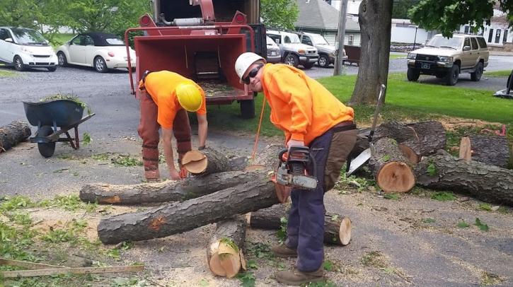 Image for Cutting Edge Tree Professionals with ID of: 1245243