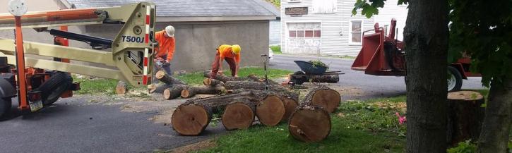 Image for Cutting Edge Tree Professionals with ID of: 1245246